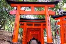 Temple fushimi inara
